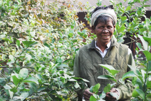 Patient doing gardening